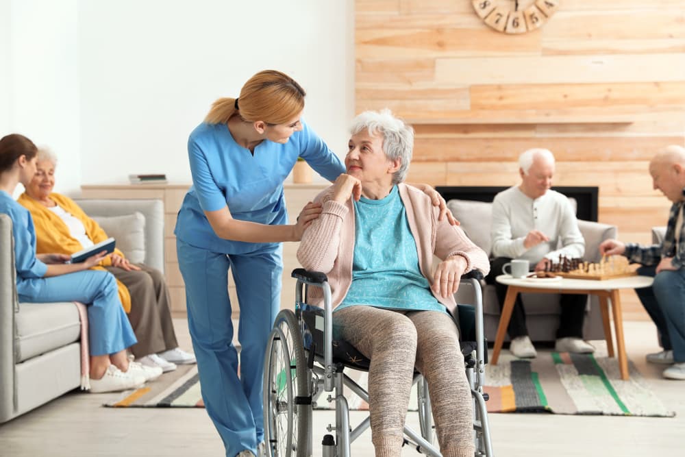 Protecting Vulnerable Elderly from Nursing Home Negligence