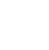Cyber Crimes Icon